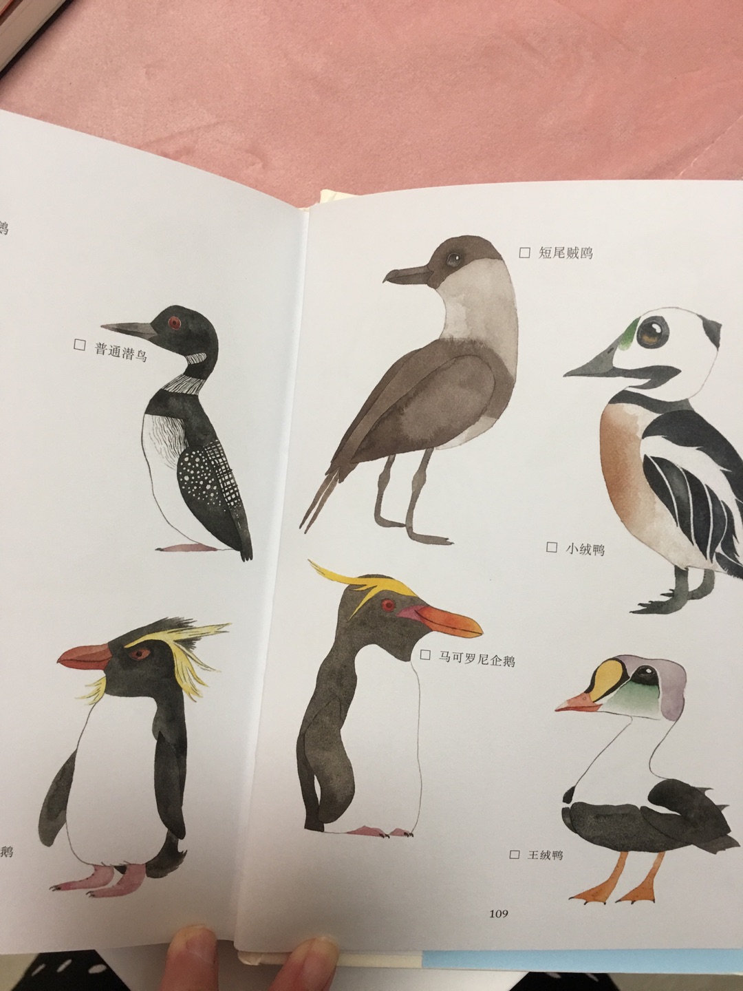 很漂亮的一本书，里面画的各种鸟也不错，大人小孩都可以看的，值得购买。