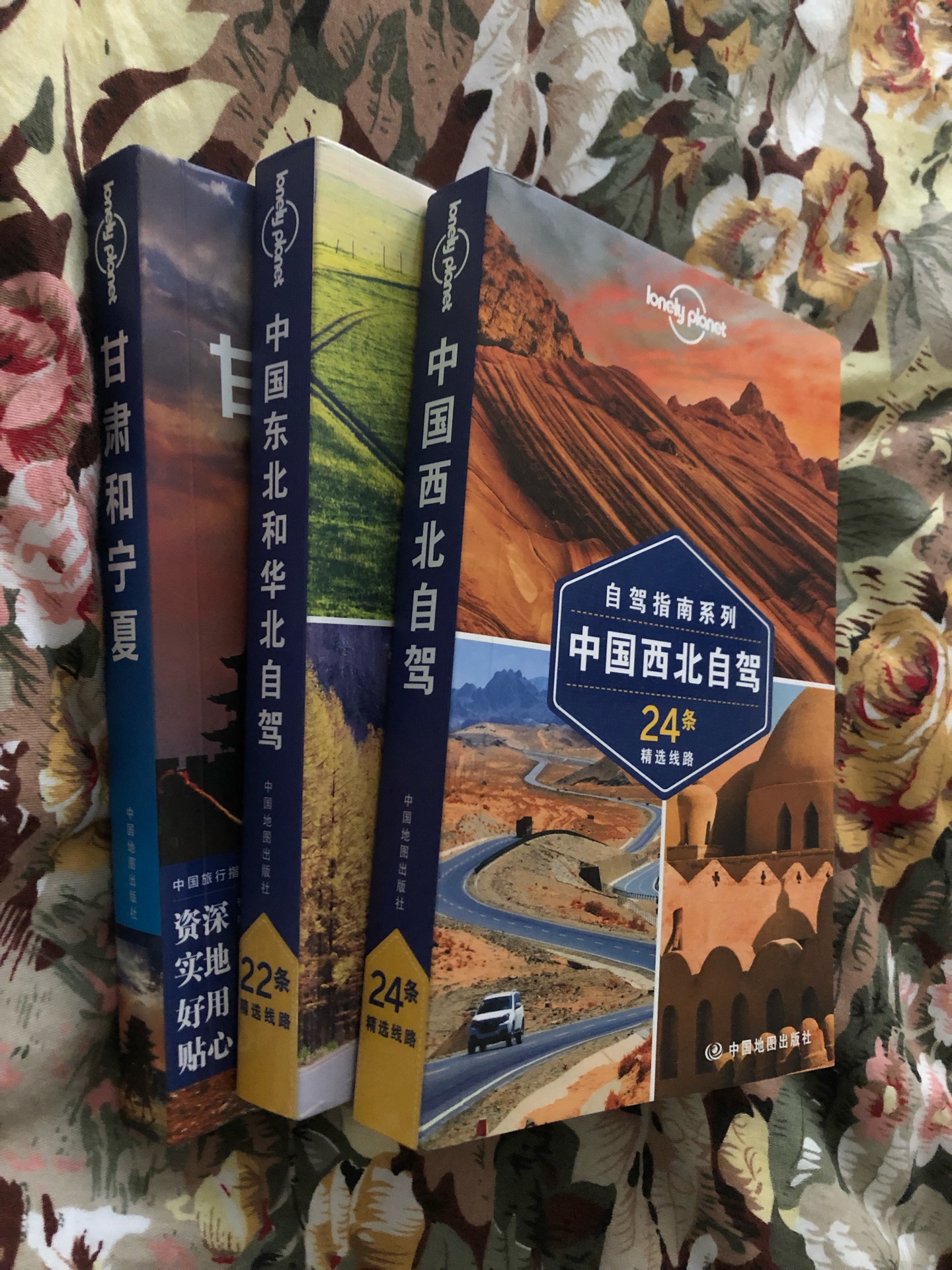 LP系列书籍，是我的最爱，之前买了英文版，现在开始持续补进中文版！只买正版，等待图书的各种优惠活动