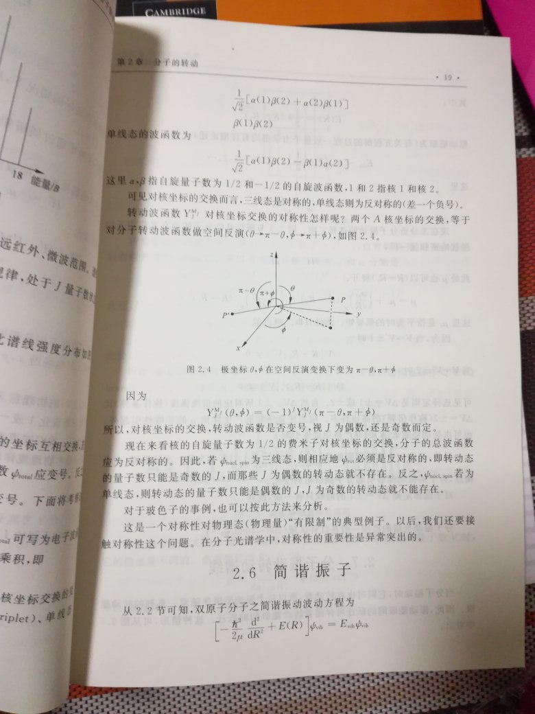 一本有关分子振动光谱的书，理论性较强，有深度。