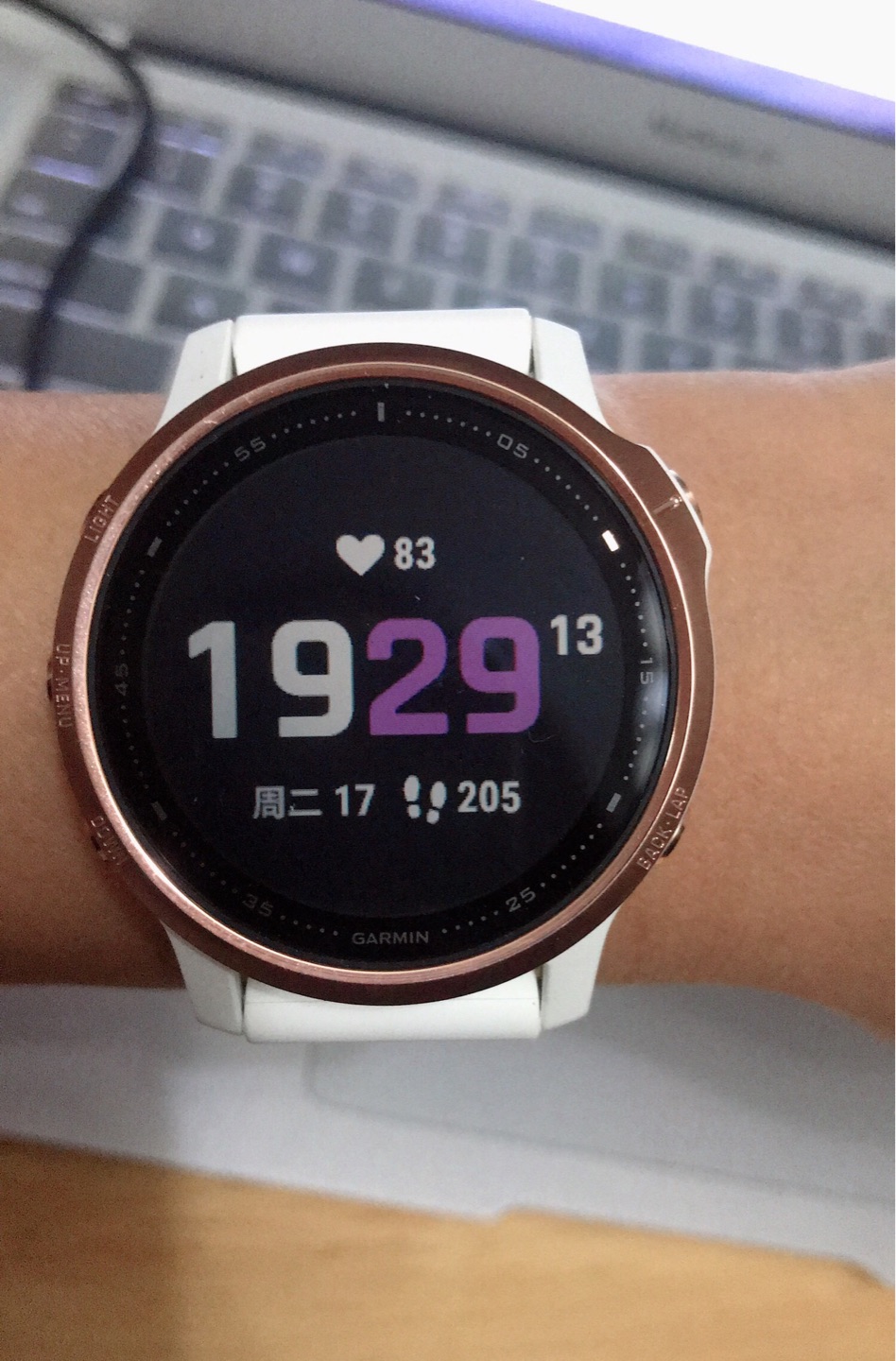 佳明fenix6spro点评