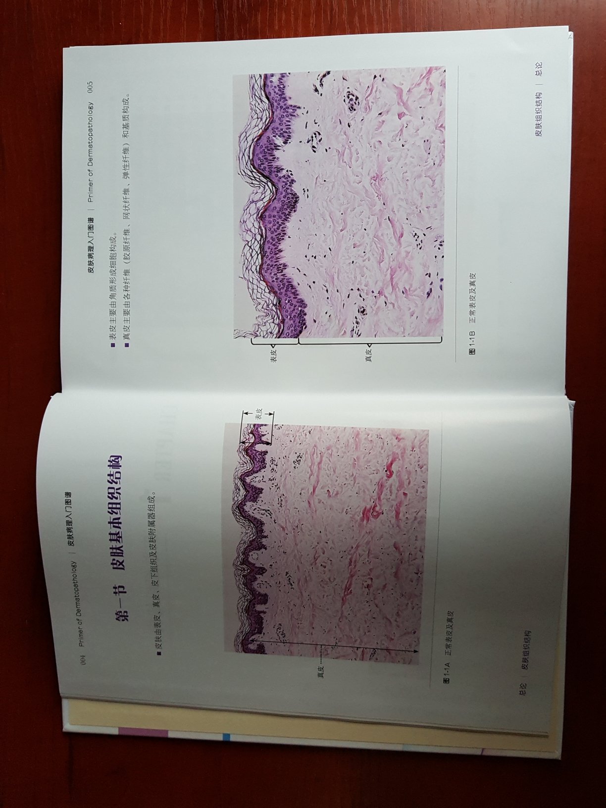 包装完好，活动价买的价格实惠。同时书比较基础，值得学习，不过图片上尖头标注更详尽些就更好。