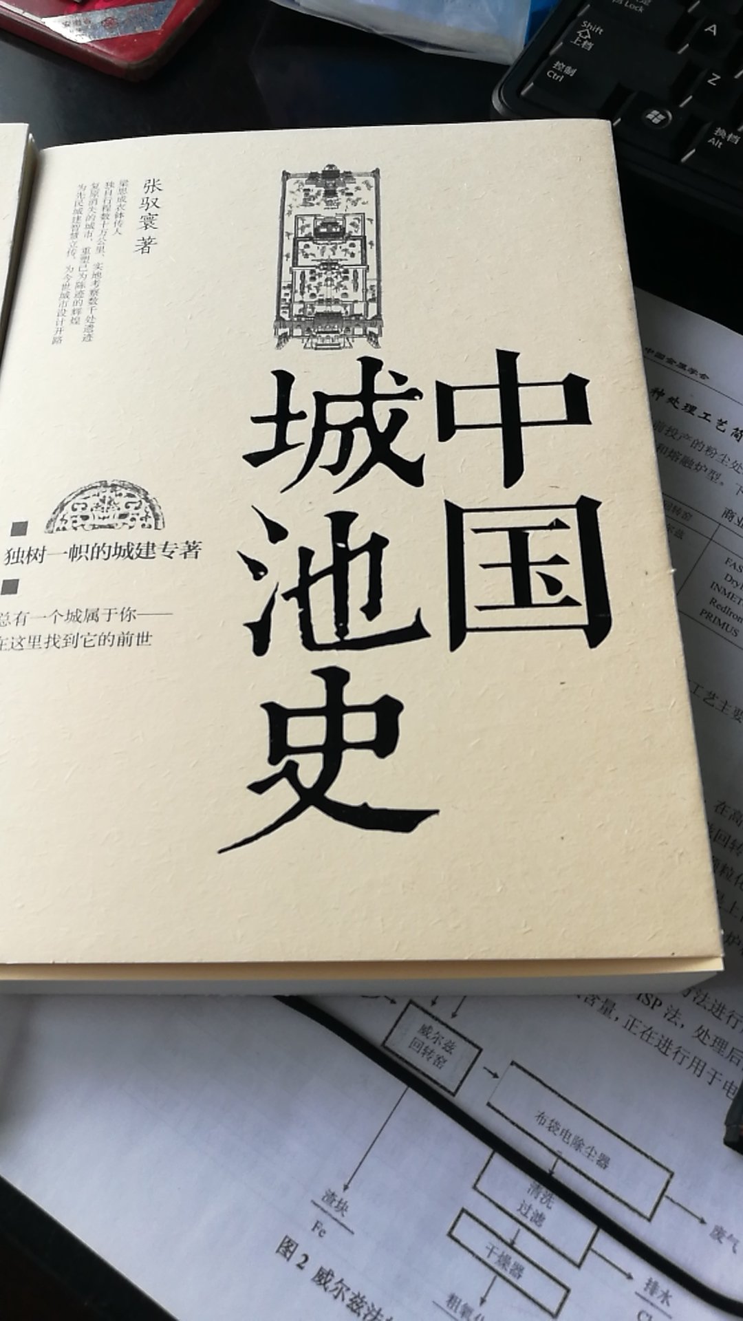 很有意思的书，值得每个人拥有。但我更喜欢中国城池史。