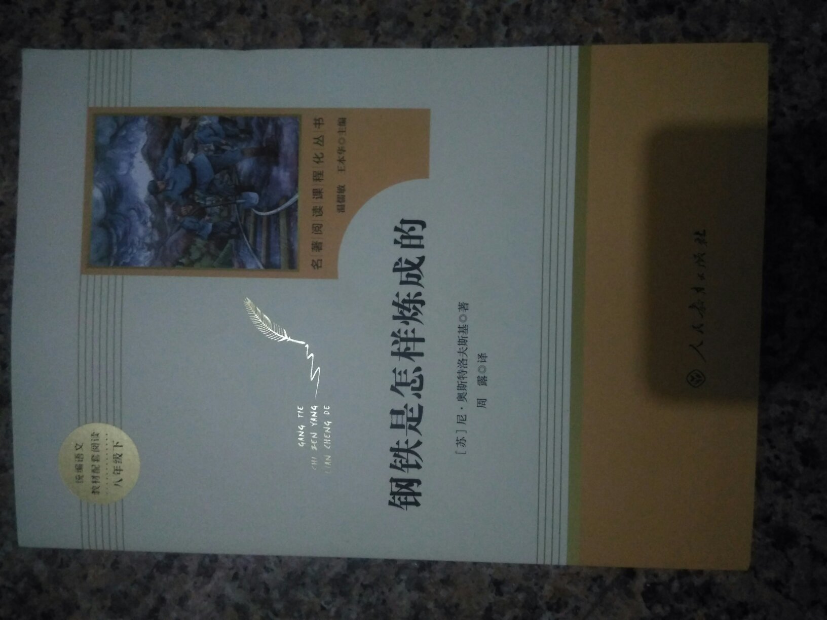 这本书是名著《钢铁是怎样炼成的》，图书是正品，价格实惠，送货很快，值得推荐。