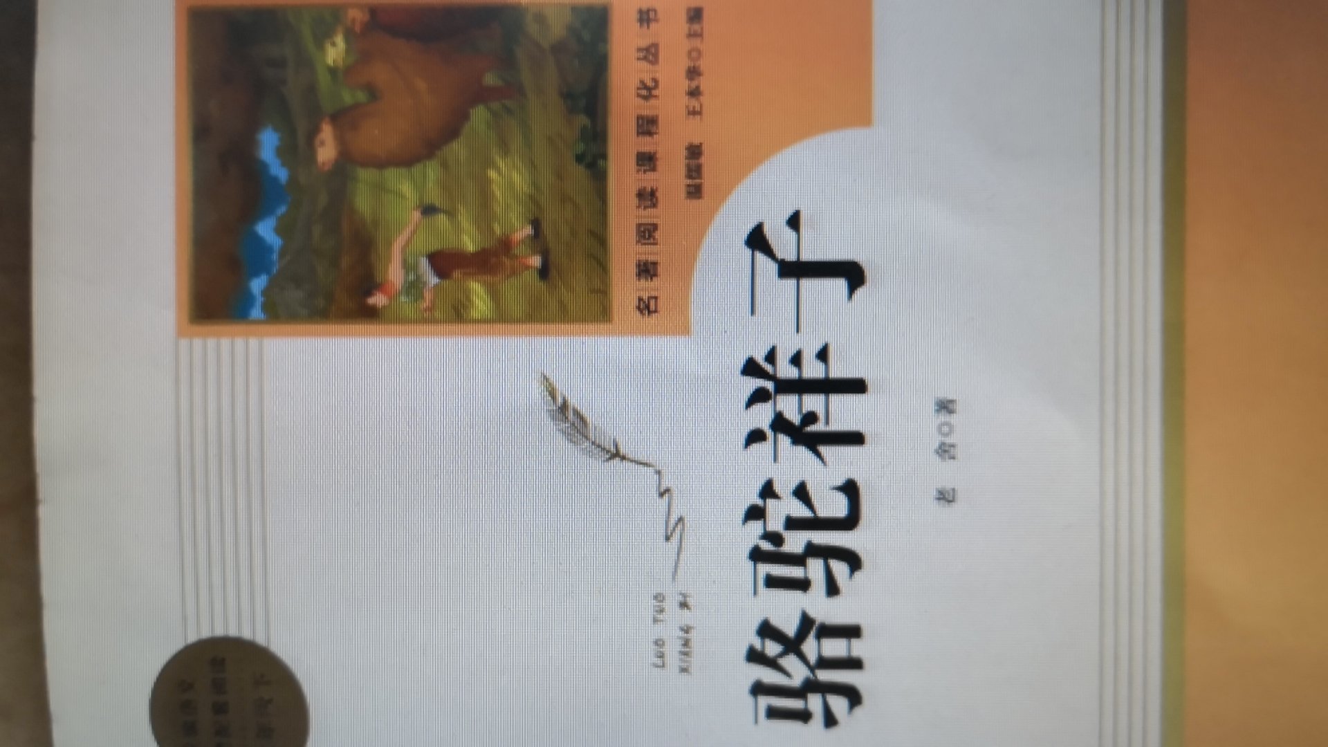 我也不知道怎么说，因为它只是一本很普通的书，不过唯一有点惊讶的是，居然要从外地寄来广州的。