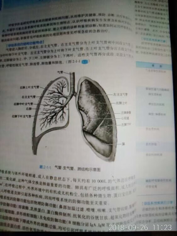 买书，又快又方便，书的质量很不错，都是正版。不错。