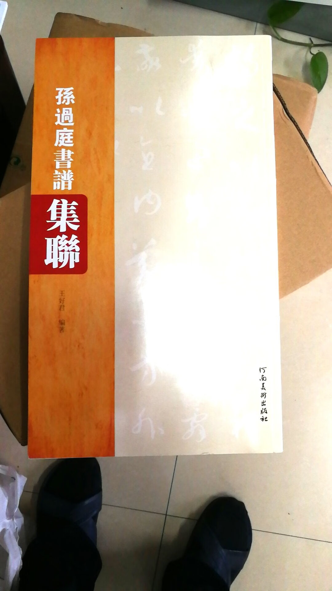 喜欢的书，打折了，可以多买！任性啊！开心死了！给好评！