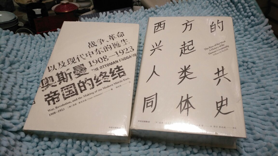 麦克尼尔写的书确实不错，从宏观角度认识亚欧大陆几大文明的交流发展史，但是也存在极大的问题:首先，他对伊斯兰教的发展存在极大的偏见，没有客观认识伊斯兰教两大派别的矛盾与关系。其次对于个别文明描述存在认识不足，在描述中国文化上存在明显的错误认识。最后也是最重要的，这本书的翻译实在是不成样子，个别章节和个别段落语句混乱不清，个别名词概念莫名其妙，达不到专业水准。