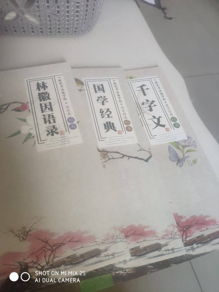 绍泽文化行书成人练字帖学生硬笔钢笔行楷凹槽21天临摹写字板大本豪华视频版