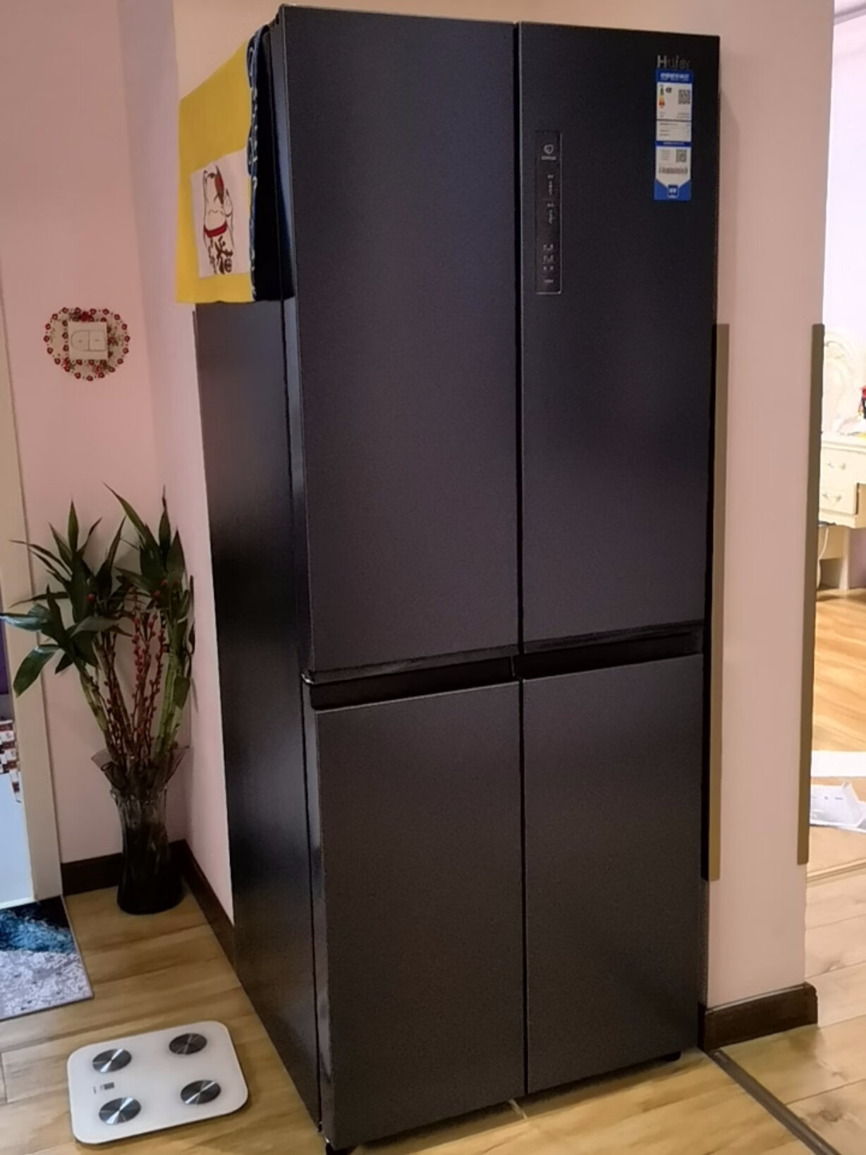 【海尔bcd-269wdgb】报价_参数_图片_论坛_haier bcd-269wdgb海尔冰箱