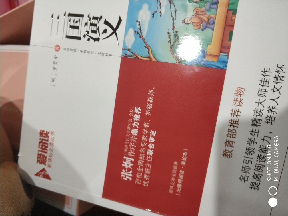 小孩子五年级了，据说读原著对提高阅读能力有帮助，就给他买了这本原著，家里还有少年版的，我让他看不懂就看慢些，他说还好