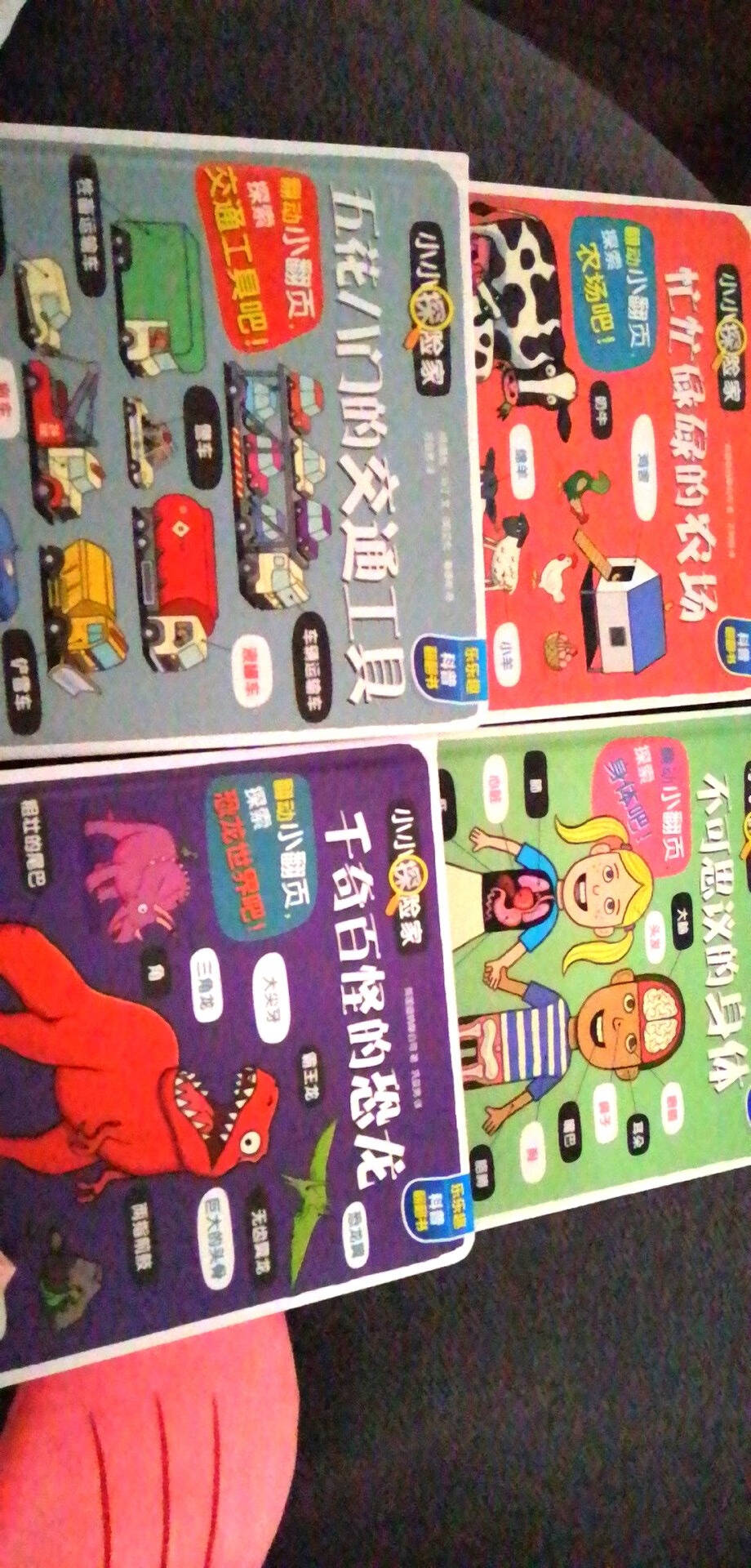 小小探险家翻翻书:身体篇+海洋篇+恐龙篇+太空篇+职业篇(套装共10册)给孩子的趣味百科知识