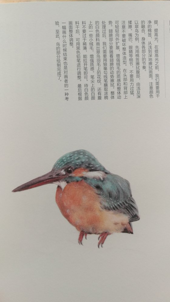 书里的画很多都很美，画师画出来这些鸟的灵性，让人忍不住反复地翻看。书里教的技法也让人受益匪浅
