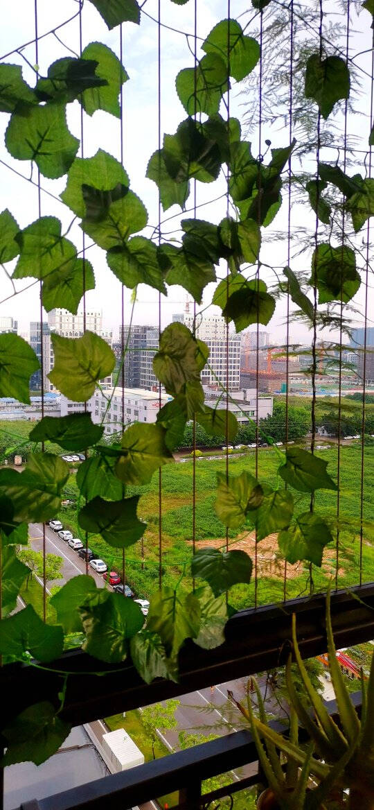 迪茵DIYIN仿真藤条假花葡萄叶树叶绿叶植物吊顶装饰管道塑料藤蔓缠绕花藤遮挡装饰品90片加密葡萄叶5条装