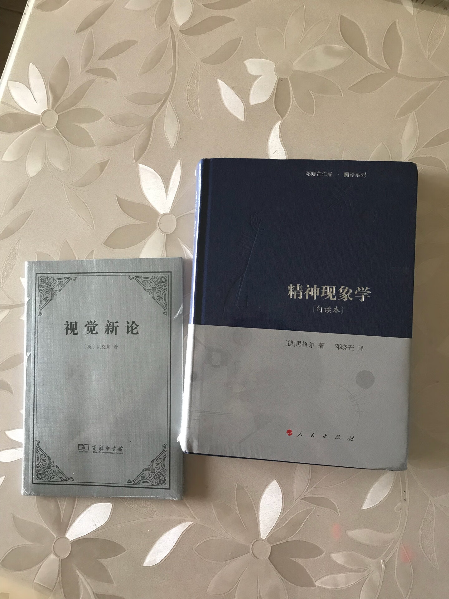 听过邓老师的精神现象学句读课，邓老师为了上了而重新翻译的，值得入手。