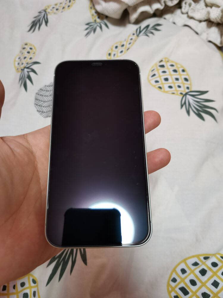 AppleiPhone12(A2404)64GB绿色支持移动联通电信5G双卡双待手机