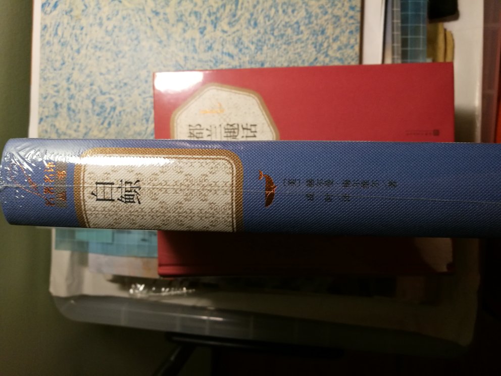 梅尔维尔捕捉到了一个大目标，他为早期资本主义对待大自然的态度，勾画出大体轮廓，也预示了其未来。