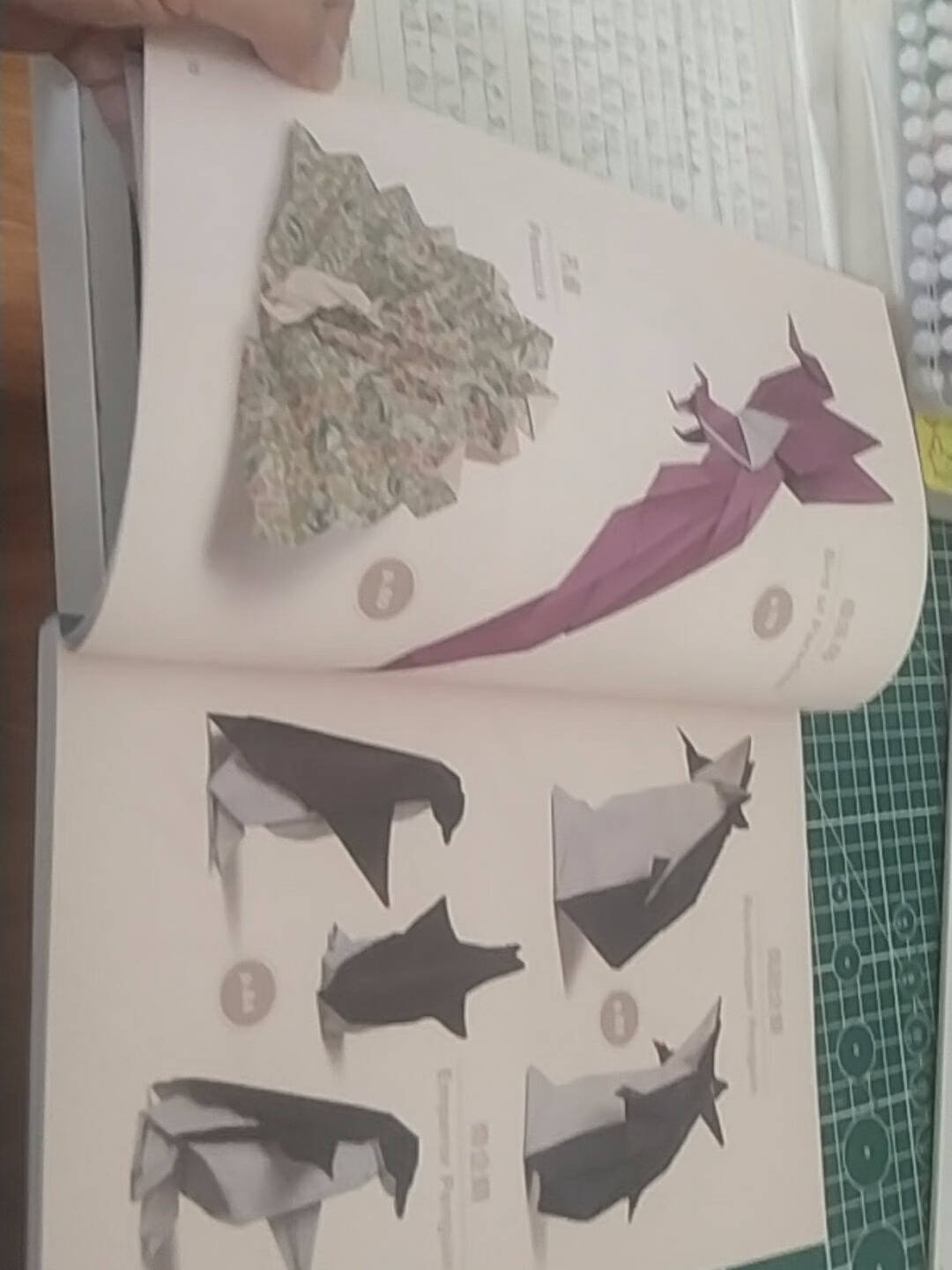 川畑文昭超造型动物折纸