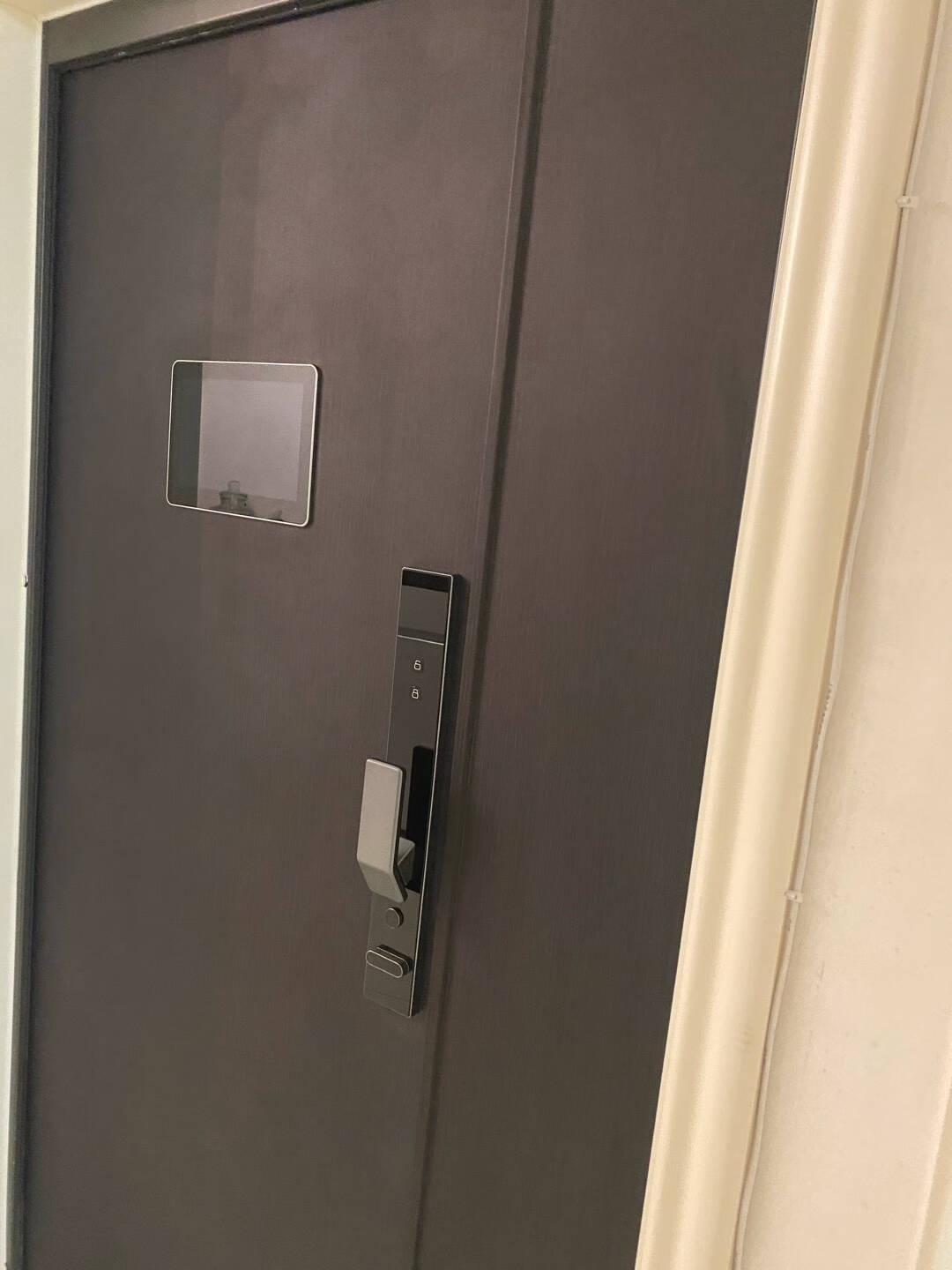 挺固防盗门小白智慧门智能门锁米家app互联进户门入户门子母门交流电版【开向咨询客服】2050*900mm