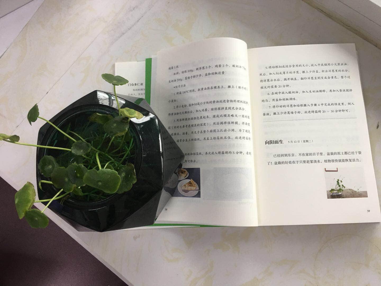 最近买了门仓女士的新书《德国式简单生活365》和《小家，越住越大》，读起来蛮有意思，365是日记体，充满生活智慧。恰巧最近买了盆铜钱草，正好读到“向阳而生”颇为受益，“应先思考自己希望有多少时间能用来照料植物”来选择植物的种类。读了畅销书《小家，越住越大》，得知逯薇的收纳理念也深受门仓多仁亚女士的影响。确实，读完门仓的书，不再讨厌家务，也不再被过多的杂物所困扰，反而能静下心来过简单的生活。