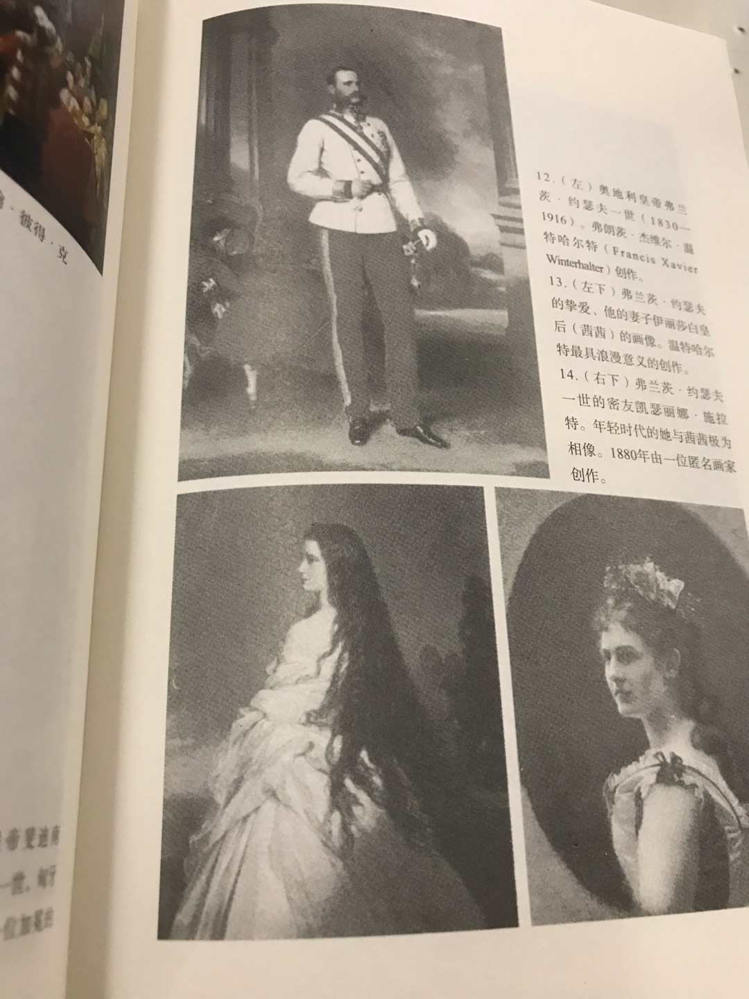 一直想买一本关于哈布斯堡王朝的书，这次图书有优惠活动，价格实惠，书的印刷和装帧都很棒，收到以后爱不释手。