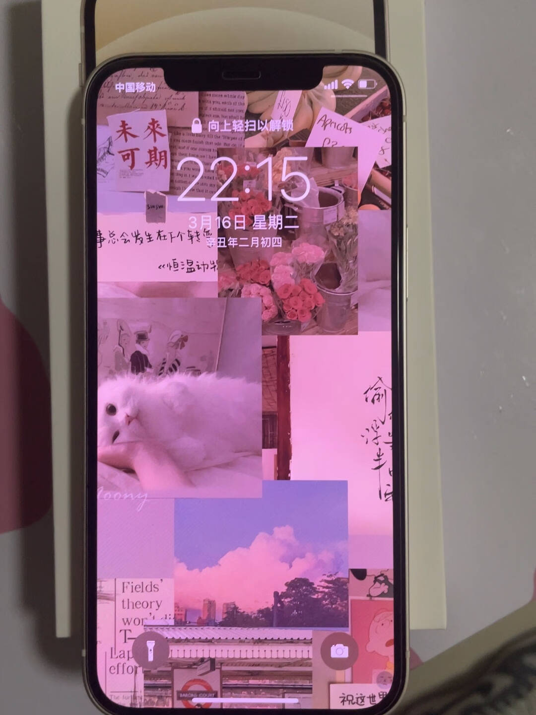 AppleiPhone12(A2404)256GB紫色支持移动联通电信5G双卡双待手机