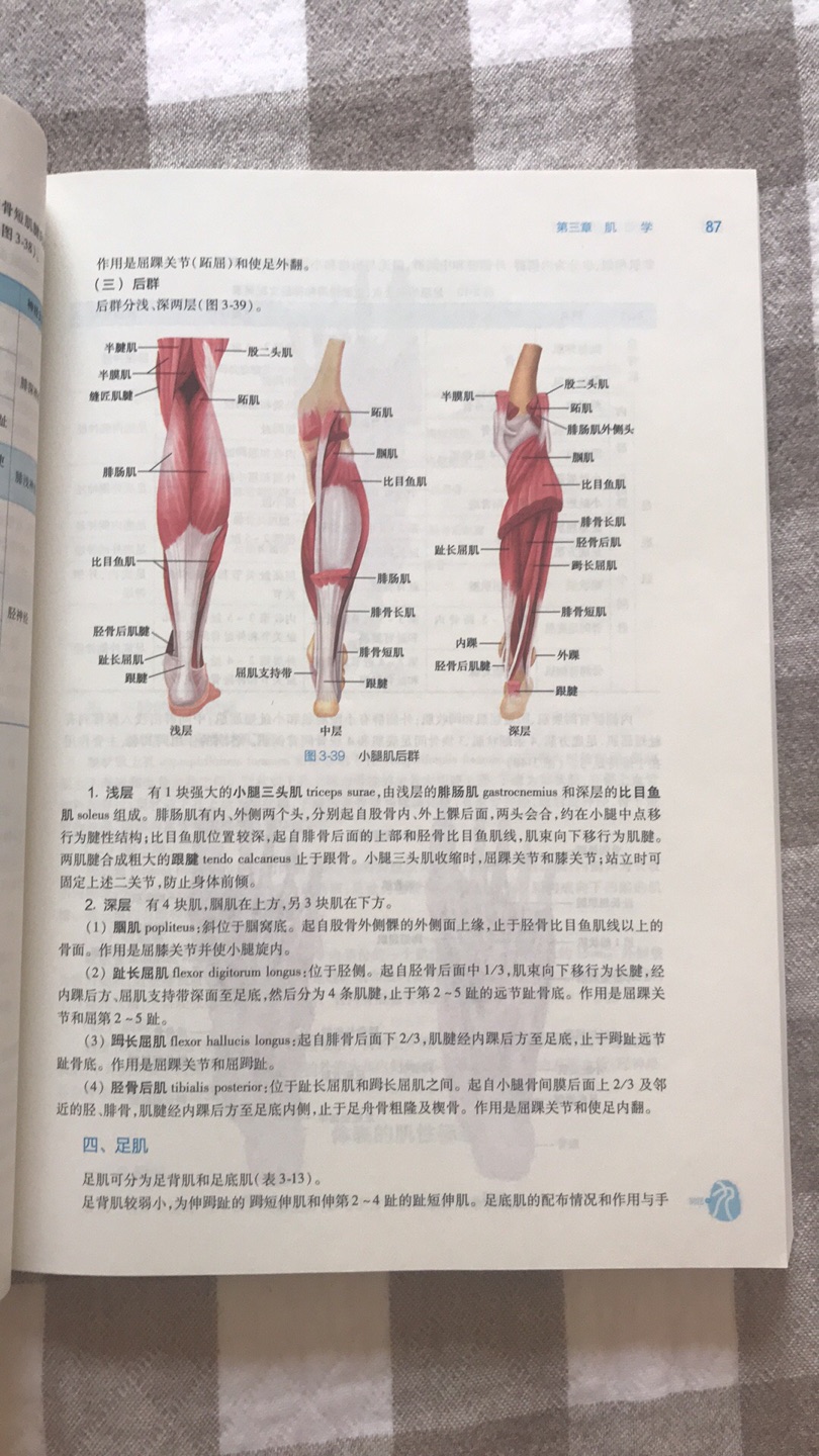 物流快，书也没有折损，彩图内容。