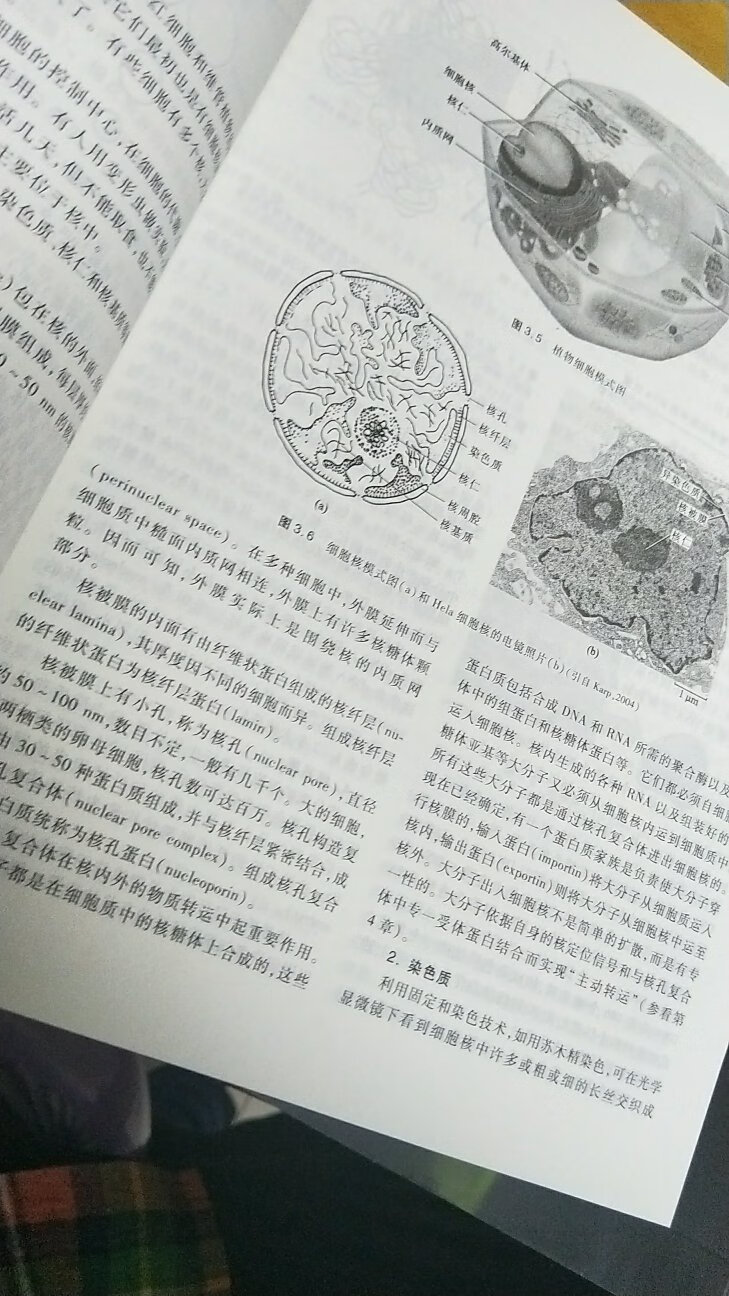 学校要参加竞赛，希望可以有很大的帮助！