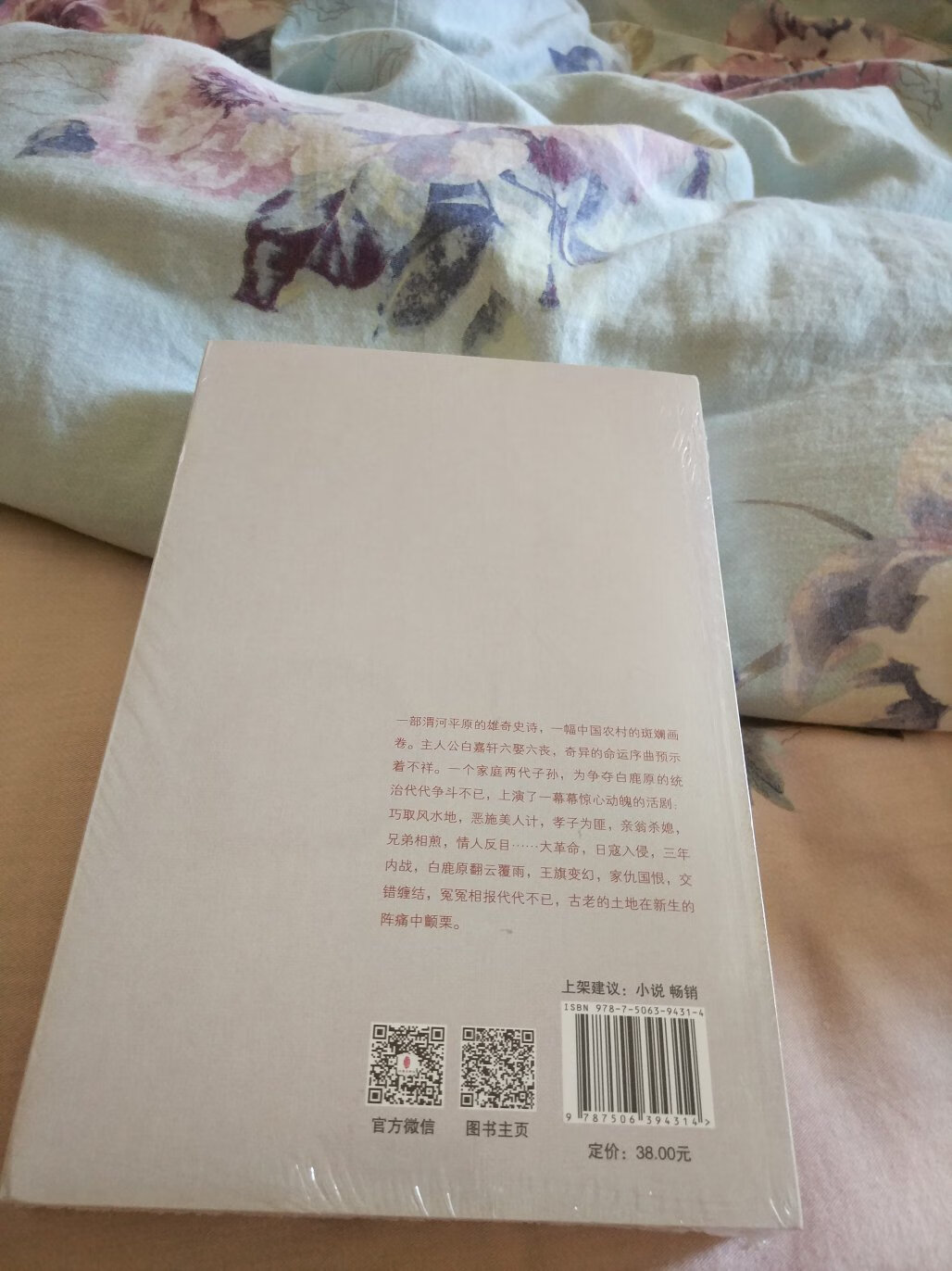 很喜欢陈忠实的作品，西北人的坚韧脊梁，电视剧，原著都需要看一下