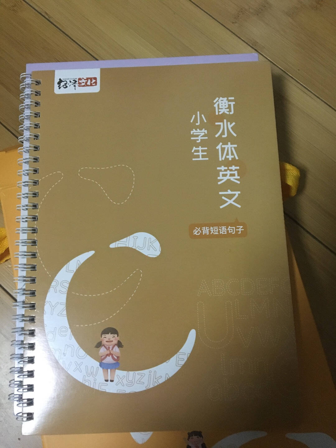 绍泽文化行书成人练字帖学生硬笔钢笔行楷凹槽21天临摹写字板大本豪华视频版