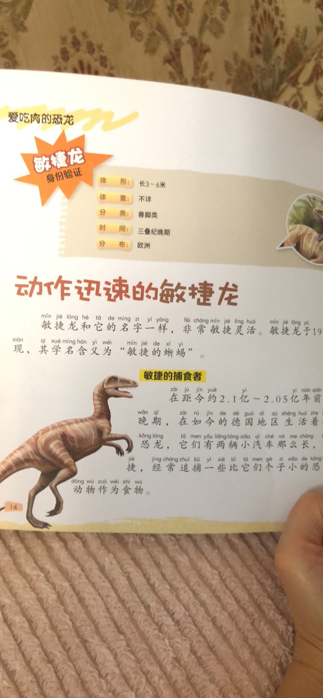 孩子喜欢恐龙 买了很多关于恐龙的书 玩具 孩子爱不释手 又学又玩儿长知识 不错
