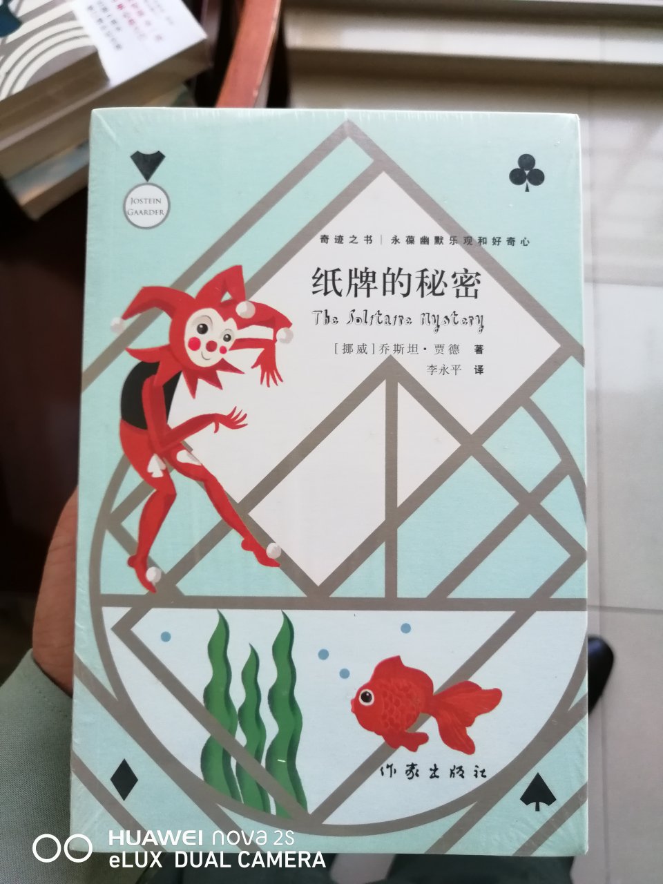 他和他的姊妹篇《苏菲的世界》，我都一块儿买了