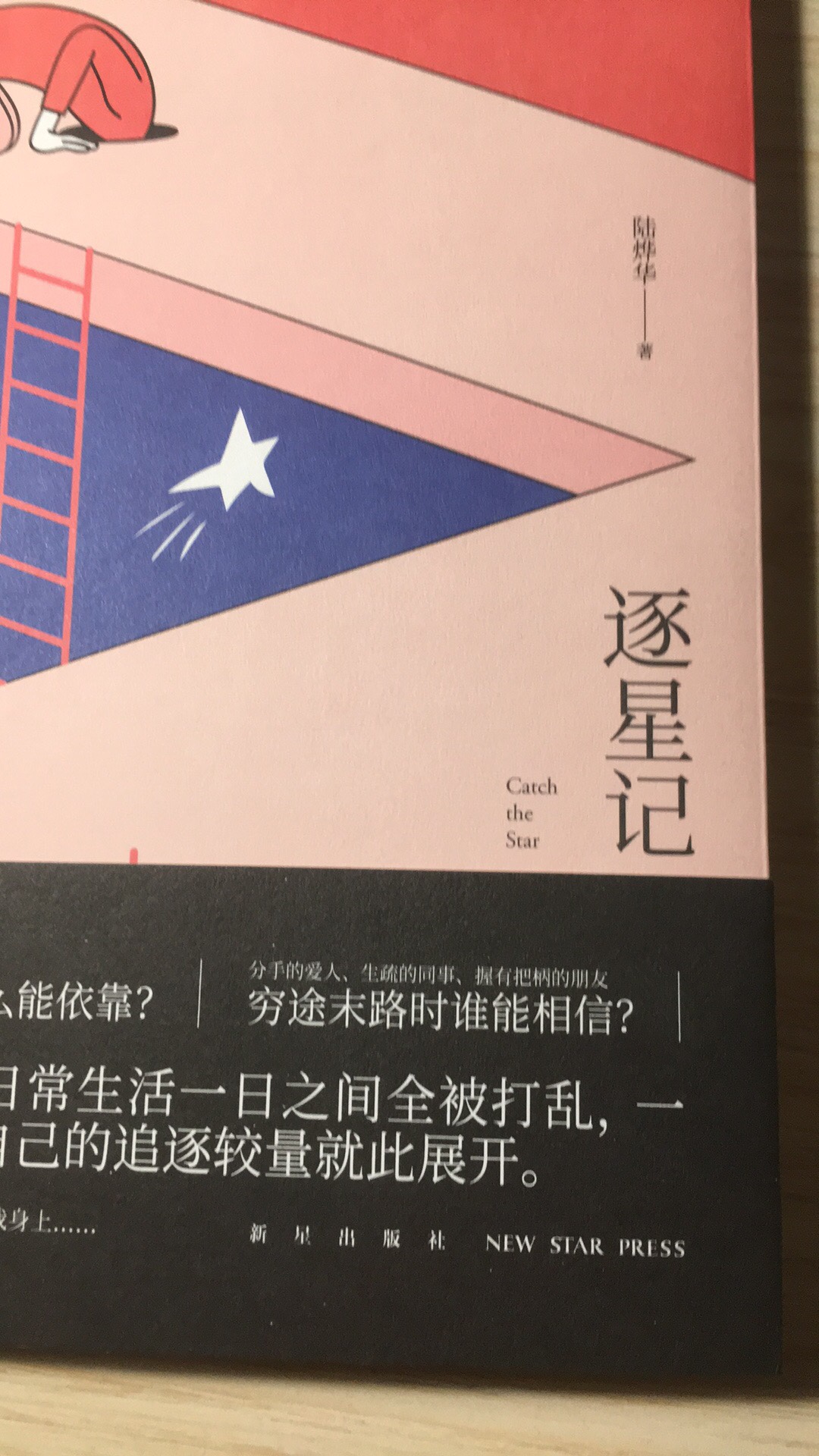 陆烨华是我非常喜爱的本土推理作家，作品完成度非常高，希望这本也能带来惊喜