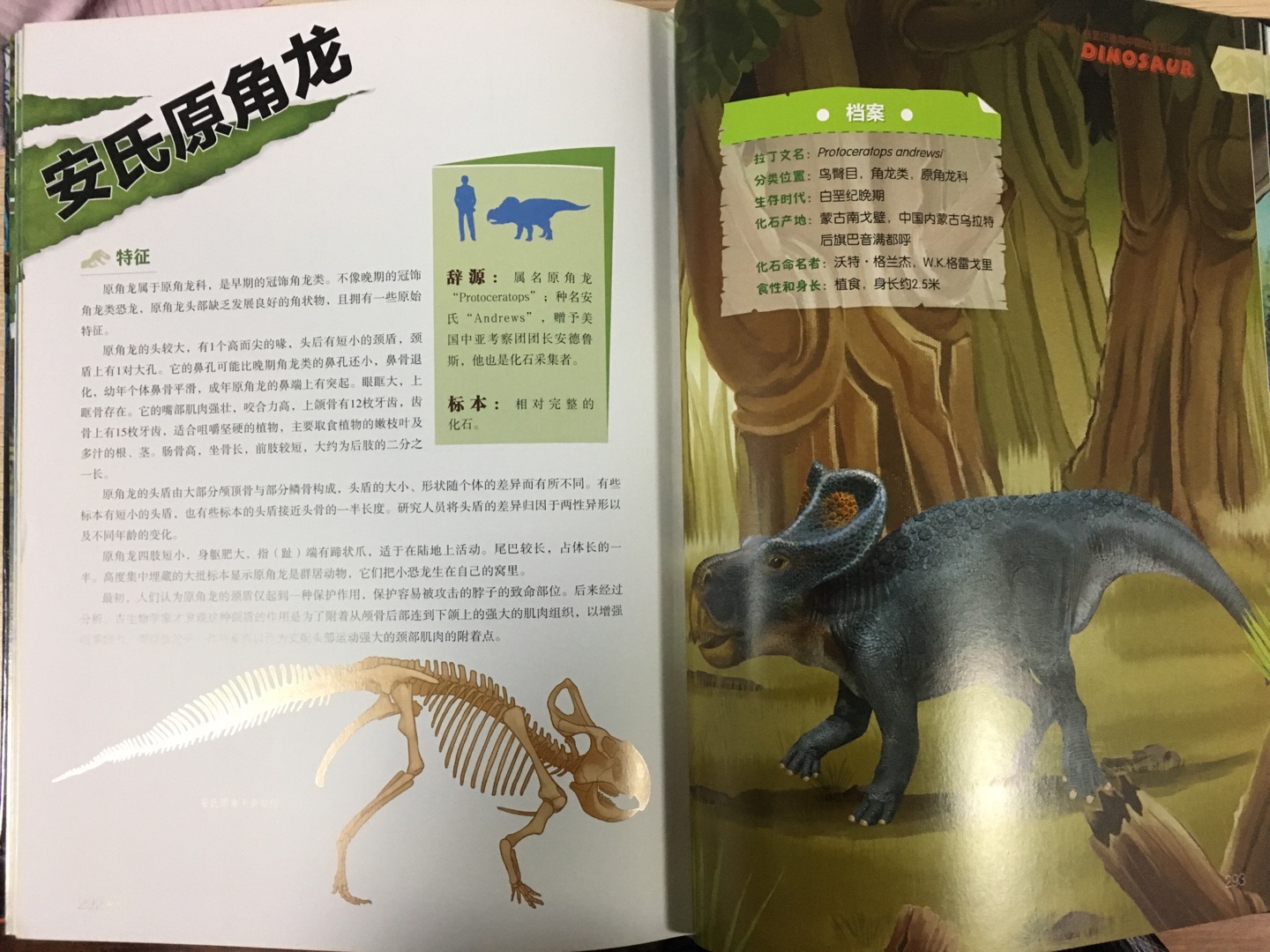 自从给怡宝读科普类的图书开始，孩子就喜欢上了有关恐龙的书，日常“十万个为什么”也有很多关于恐龙话题的，最近得到一本新书《中国恐龙百科全书》，这本书以232幅高清手绘大图描绘了生活在这片原始大地上的恐龙及其他史前动物，从形态、栖息地、捕猎、进化等多个角度描述了这些史前巨兽的外形特征和生活场景。更全更专业更新颖的角度给孩子介绍，推荐指数:??????????(账号:木口同桌)