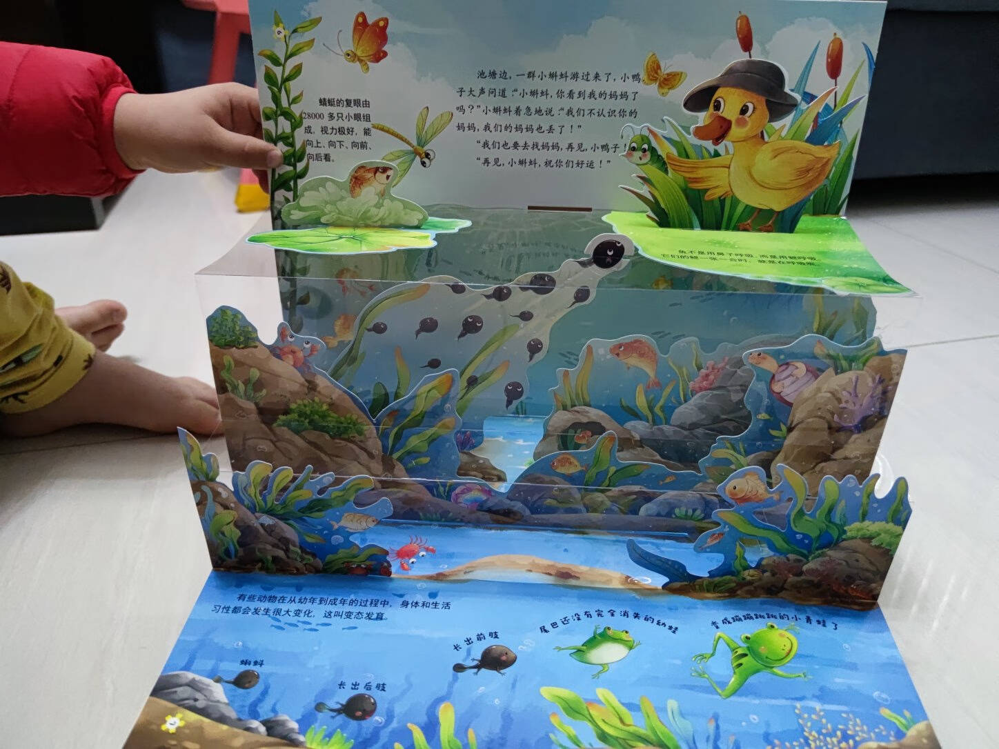 神奇的生命3D立体书精装版走进自然博物馆