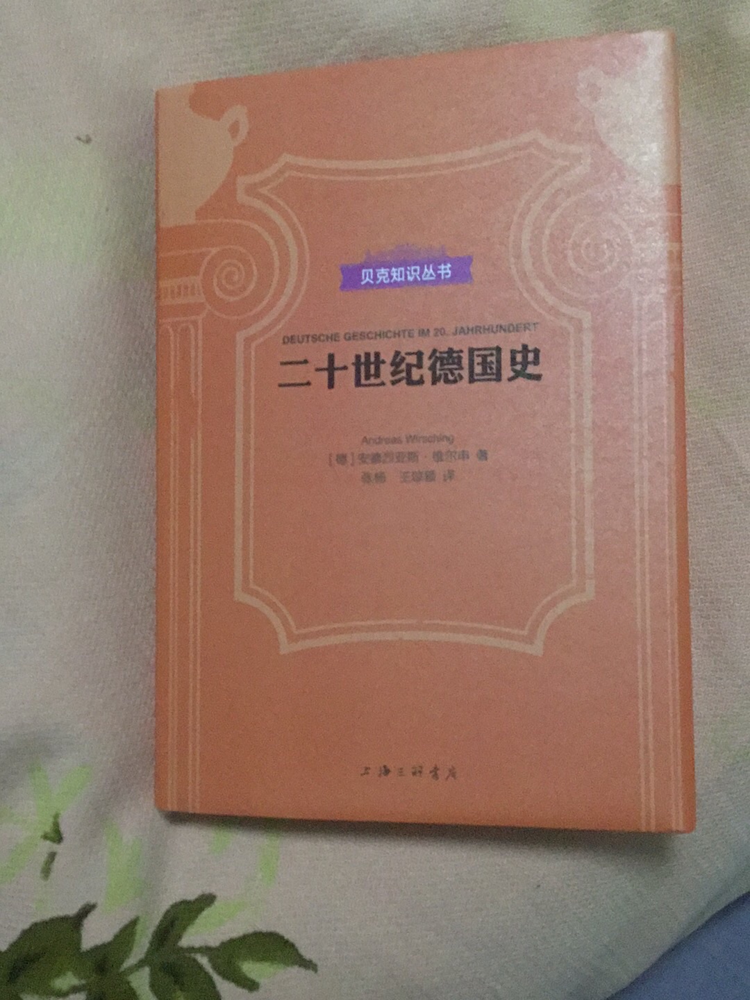 简短深刻的介绍了二十世纪德国的历史，很值得一看