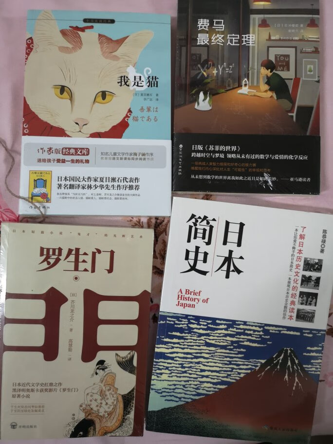 100块钱十本书，挺合算的，也许能够通过这本书的了解日本的一点历史