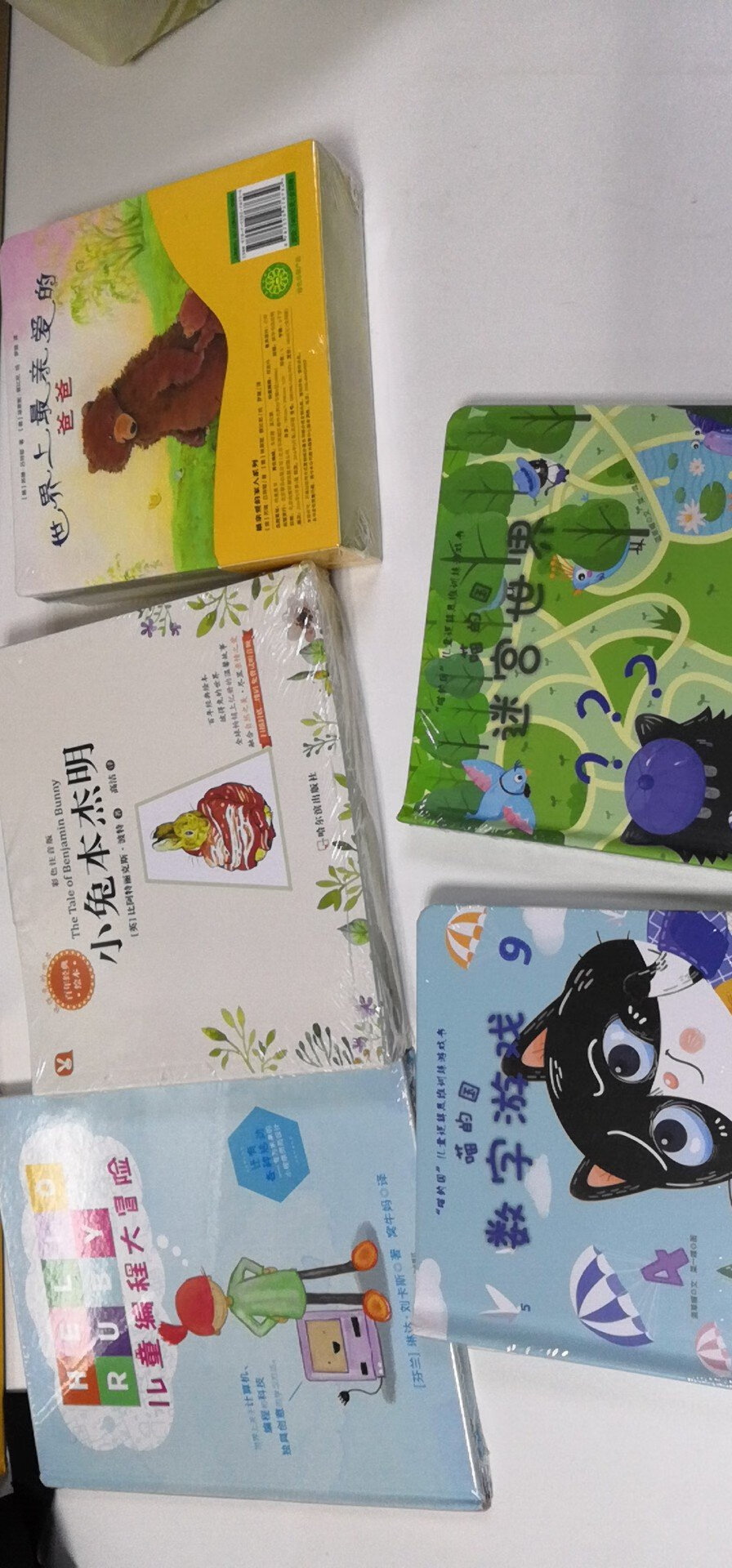 99旋舞里买的，参加活动的这套书有两本，一本绿的，一本蓝的两本都买了，是纸板书，让宝宝玩儿的锻炼逻辑思维的，走迷宫之类的。