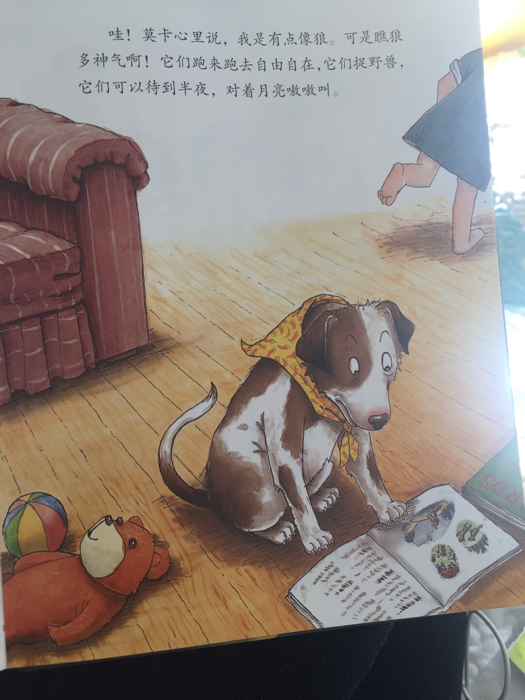 品质信的过 希望新的一年有更多优惠