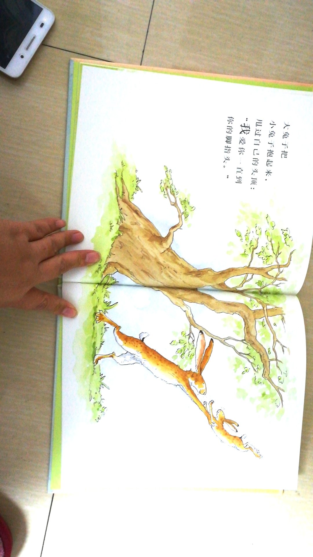 绘本不错，是我家孩子喜欢的一类书，字体大，画很美，书的质量也很好