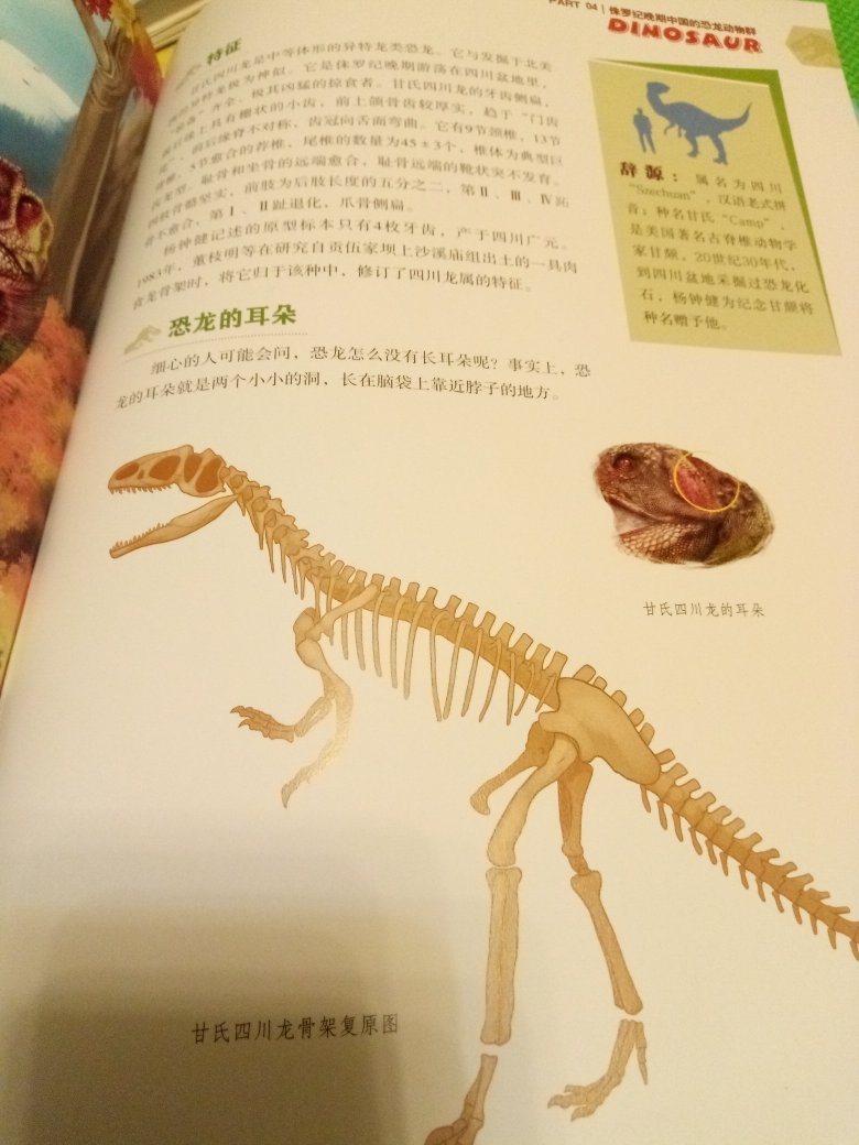 我家娃刚开始看的是时候，大概翻翻就说：这书不好，没有霸王龙。我当时就觉得明明那么喜欢恐龙，却只知道霸王龙，三角龙这些。因为每本恐龙书都只介绍这些恐龙，其实世界上有太多太多恐龙了，之前看的书还是太片面了。这本书是第一本专门介绍中国恐龙的百科全书哦。