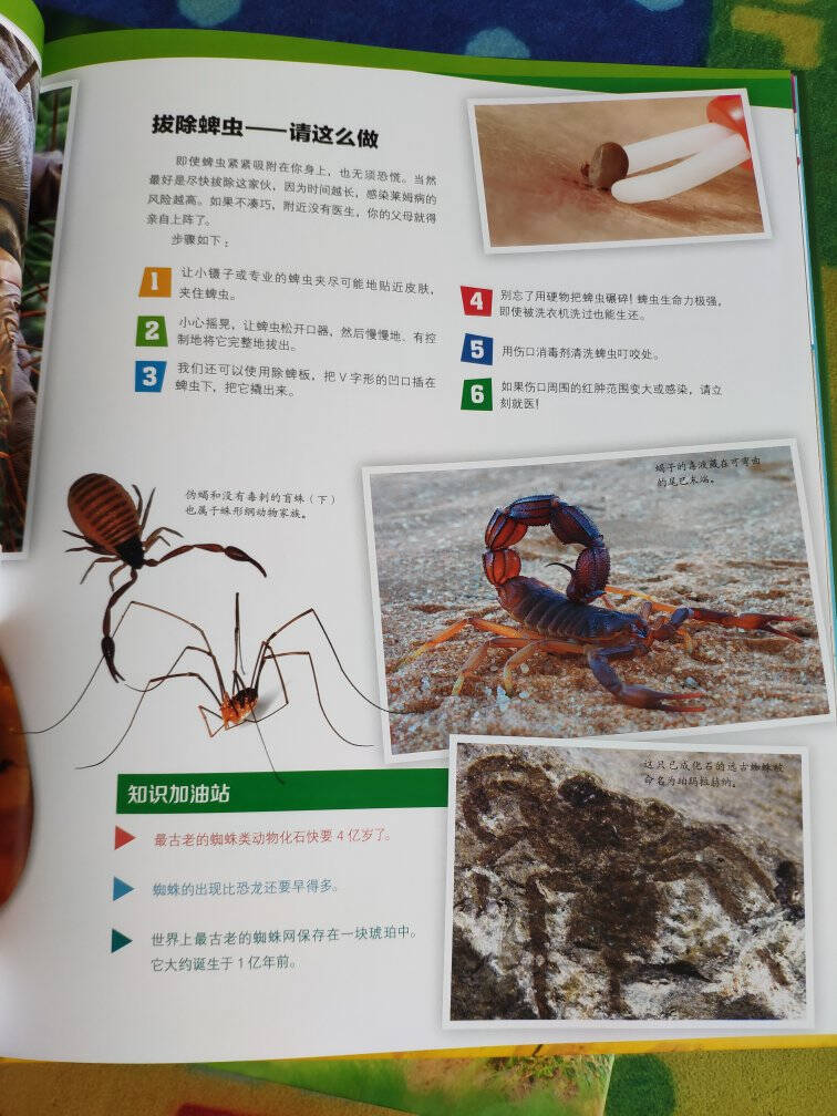 德国少年儿童百科知识全书珍藏版第六辑精装全10册套装什么是什么7-10岁中小学生十万个为什么科学科普包邮