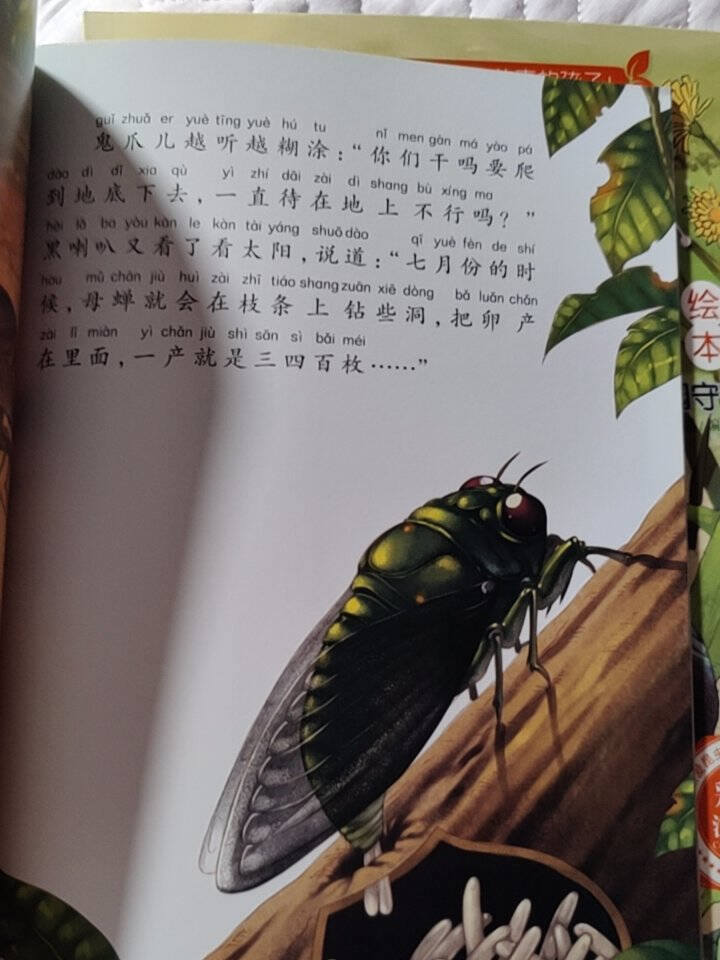 法布尔昆虫记（套装10本）彩图注音版适合3-6岁亲子共读7-9岁自主阅读儿童绘本科普故事书