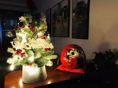 仙窝圣诞树圣诞节装饰60cm小型桌面彩灯圣诞树摆件套餐办公室酒店柜台橱窗场景布置红帽子高60cm