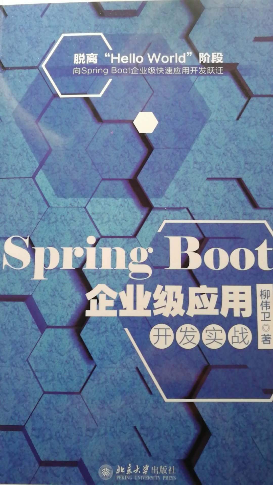 此书介绍了关于Spring Boot相关的一些新的技术框架，整体来说技术点到为止，需要深入学习需要多看相关技术的官方文档。