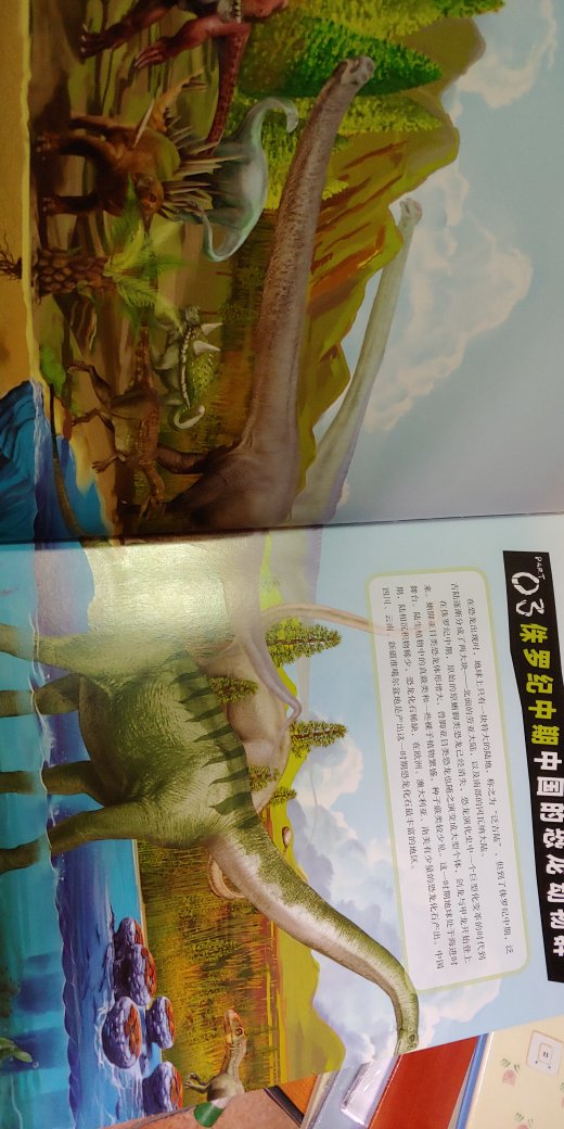 很厚很厚的一本，分类非常细，是过去不曾了解过的中国恐龙特色百科。孩子非常喜欢，抱着看个不停。非常满意！内里纸张是铜版纸。很有质感，配图也非常吸引人。