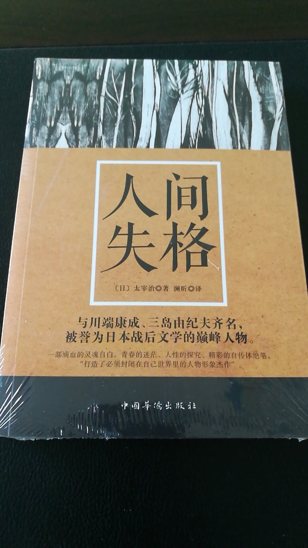 文字是深入灵魂的。这本书呢？除了让我们惊骇之外，更能引起反思。值得一读。