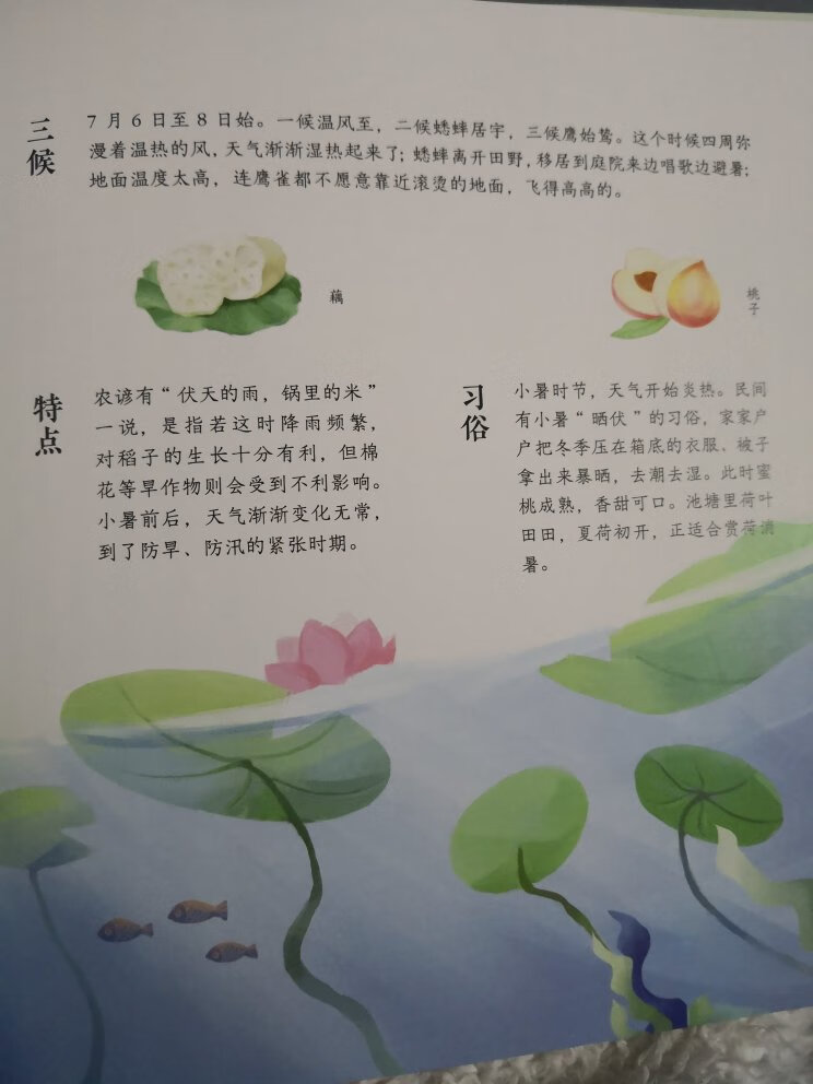 怎么着也得小学看得了。囤货，自我欣赏吧。