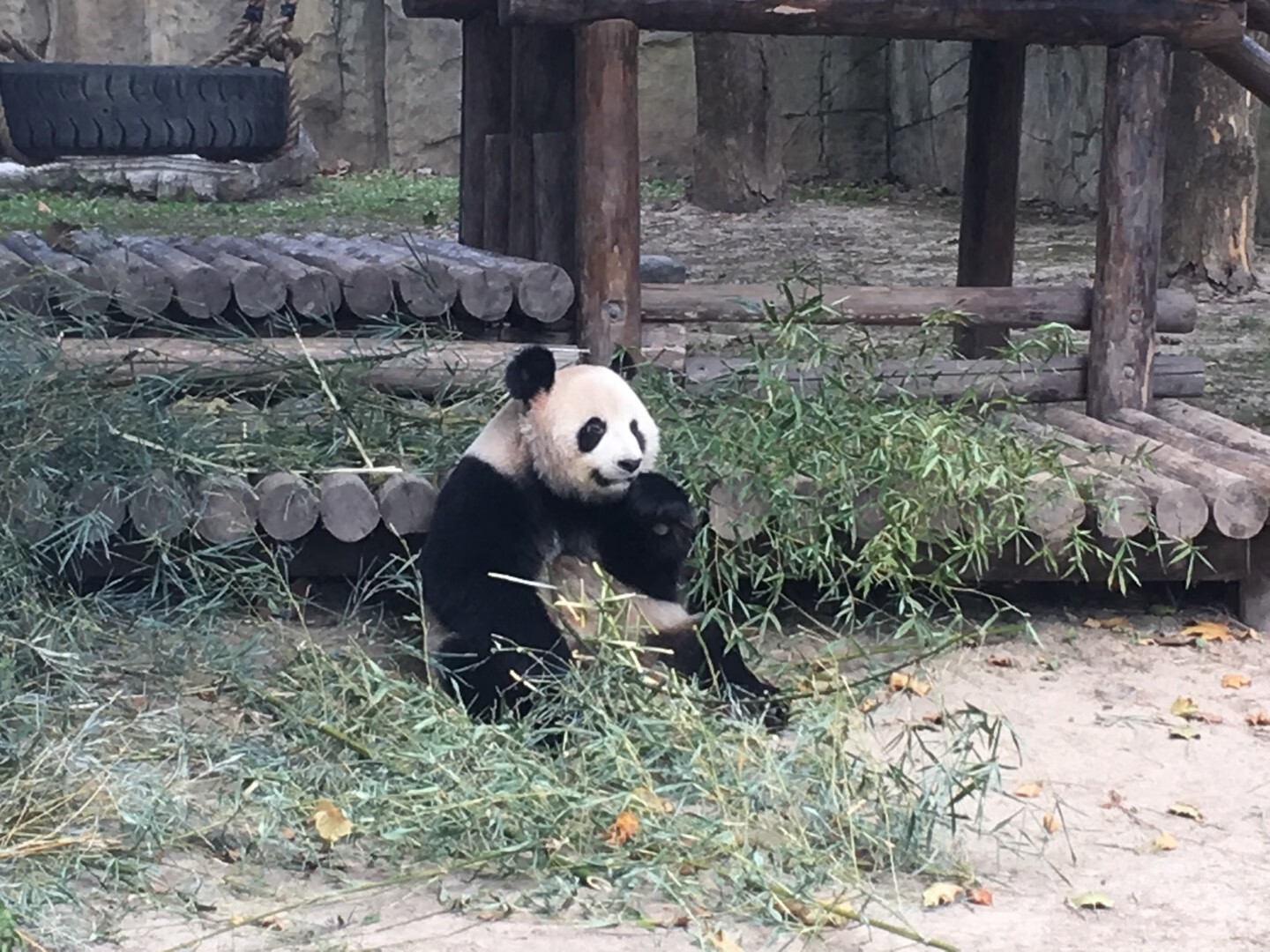 超级好用！超级好用！超级好用！超级好用！超级好用！超级好用！超级好用！超级好用！超级好用！超级好用！超级好用！超级好用！超级好用！超级好用！超级好用！超级好用！超级好用！超级好用！超级好用！超级好用！