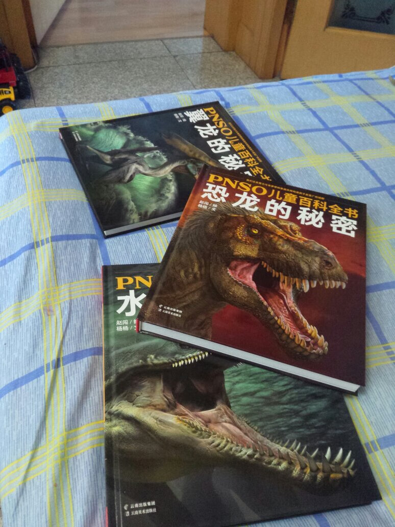 非常不错的恐龙百科全书，大人和孩子一起学习，印刷精美，也没有啥味道。