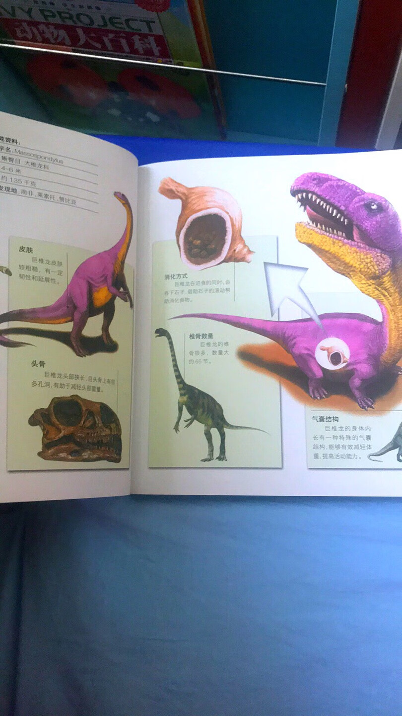 生动有趣的图片，娃超级喜欢，适合初步研究恐龙的儿童